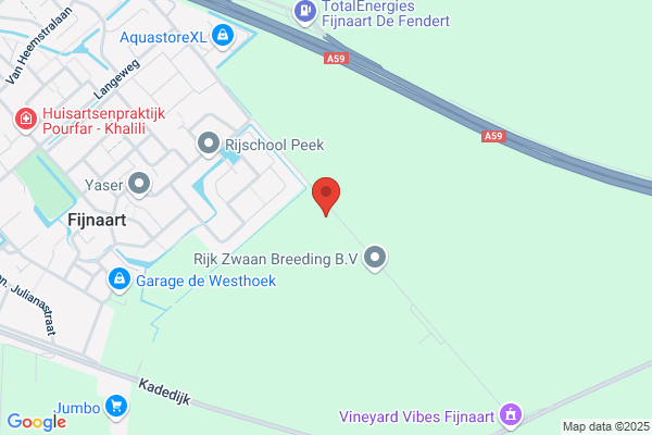Dingemans J