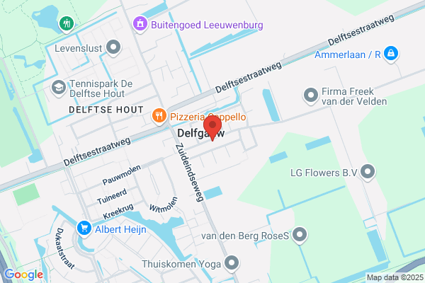 Van Der Elst J