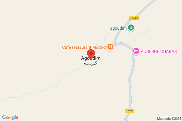 Agidum