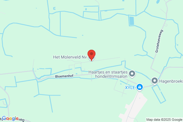 Hoofd-Verbeeck/G.