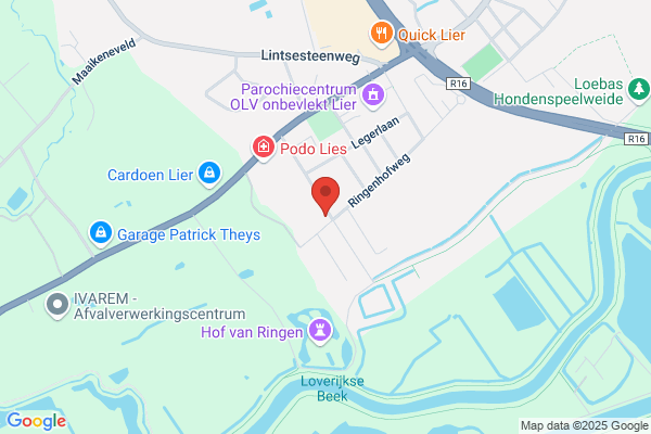 Van Dijck/Xavier