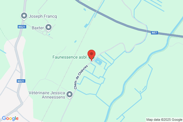 Fauconnier F