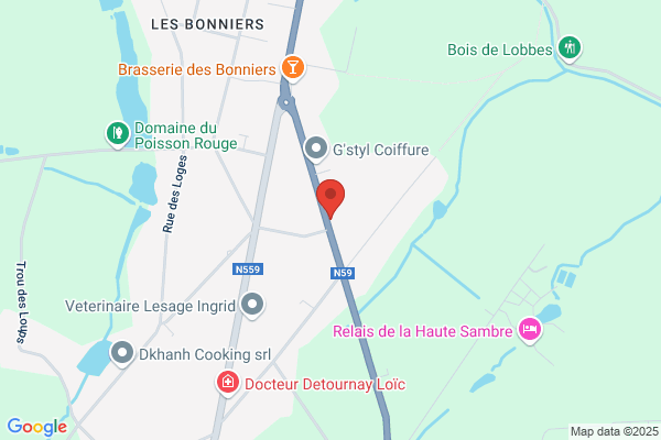 Hansenne S