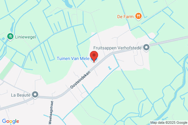 Van Mele Marc