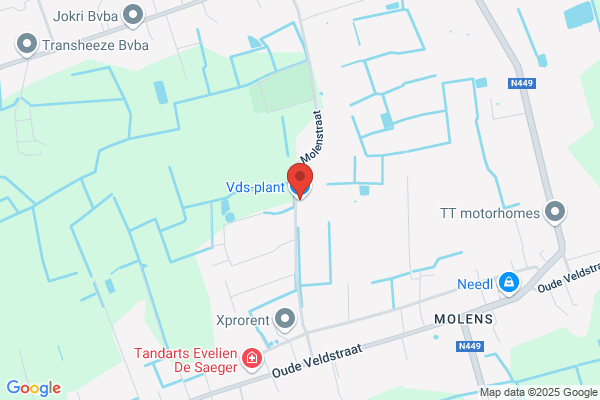 Van Der Straeten/Julien