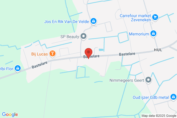 Van Ryckegem P & Zn