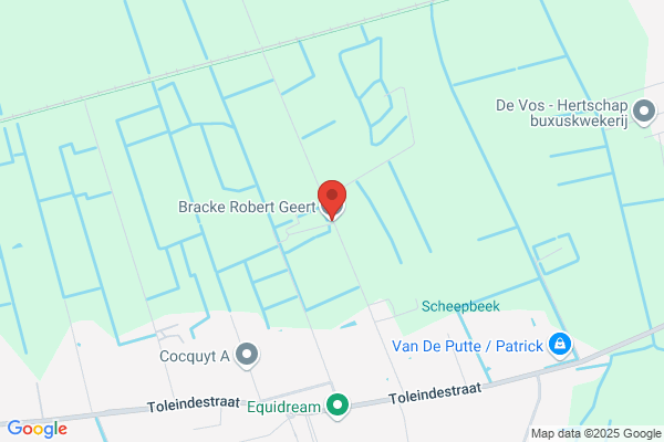 Bracke Geert