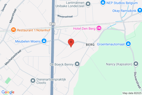 Garage Van Borm N.V.