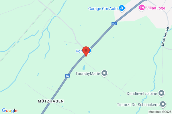 Idéefixe