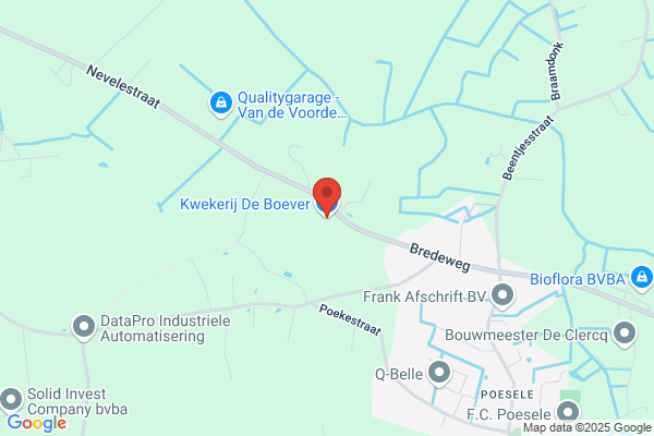 De Boevere/Astere