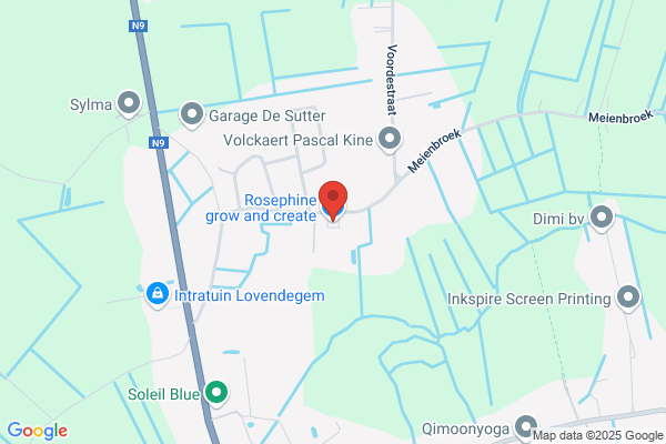 Van Den Bossche S