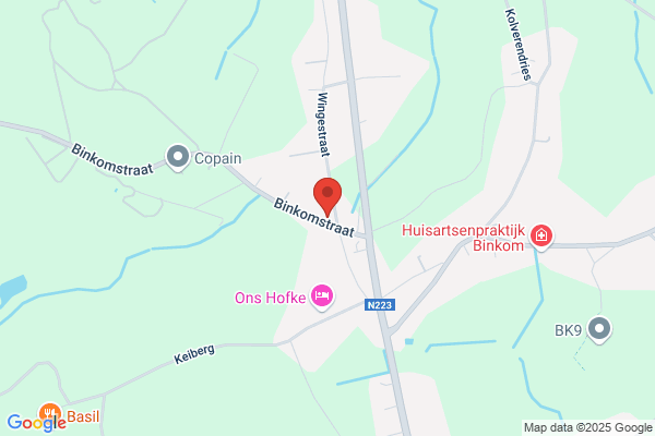 Ijsmanneke Van Binkom