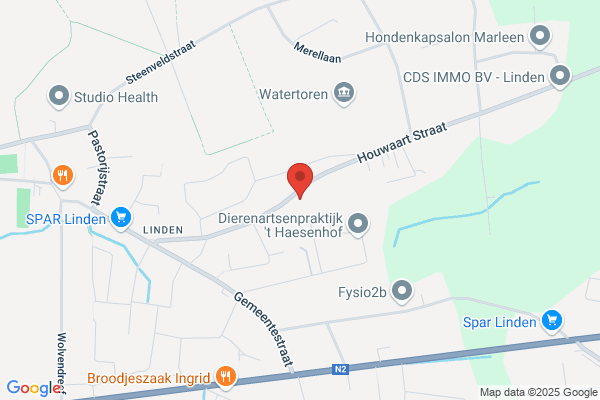 Hondenkapsalon Lientje
