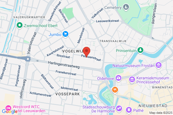 Lies Leemans Consult-Farmaceutisch Consult