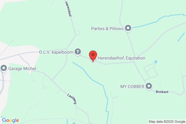 Paardenpension Wingehof