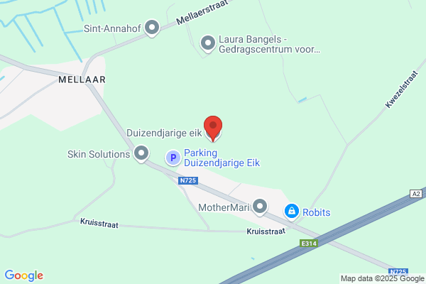 Dikke Eik