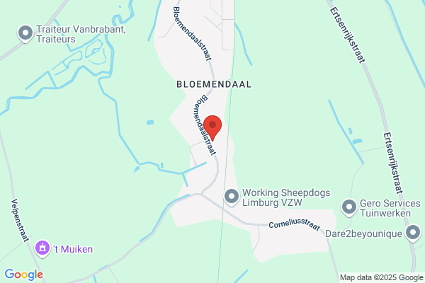 Liesenborgs Bvba