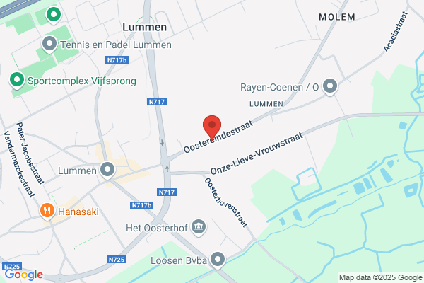 Rashonden Kennel Van Het Lumboshof