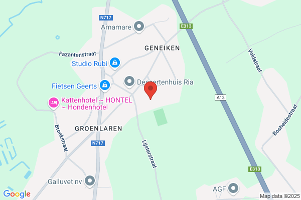 Gijbels/Patrick