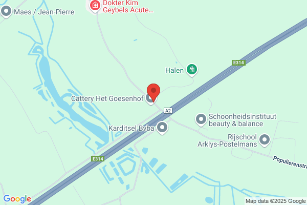 Cuyvers-Baerts L.