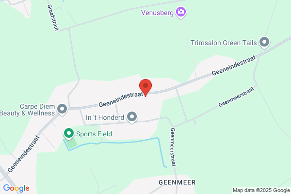 Steenbergen/C.