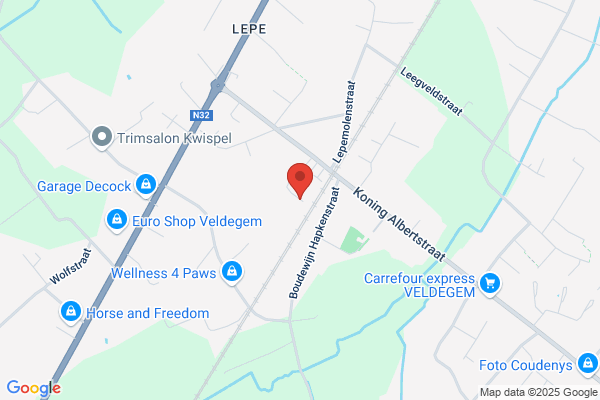Bruneel F