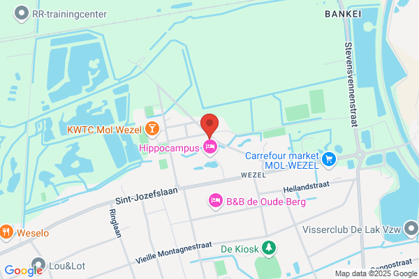 Staf Van Den Brande