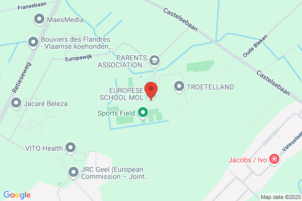 Europese School (Directie)