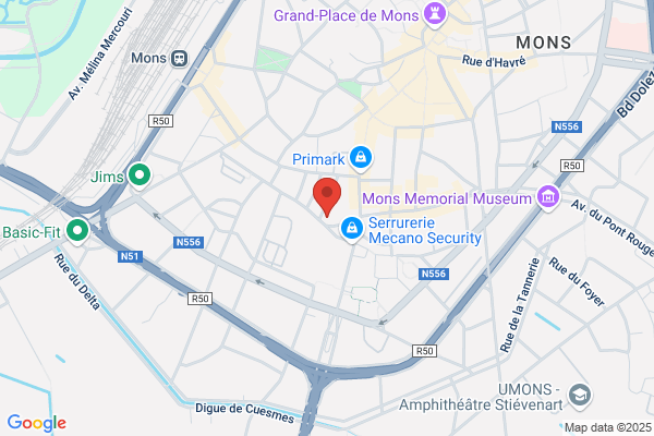 Fédération Mons Borinage Du P.S.