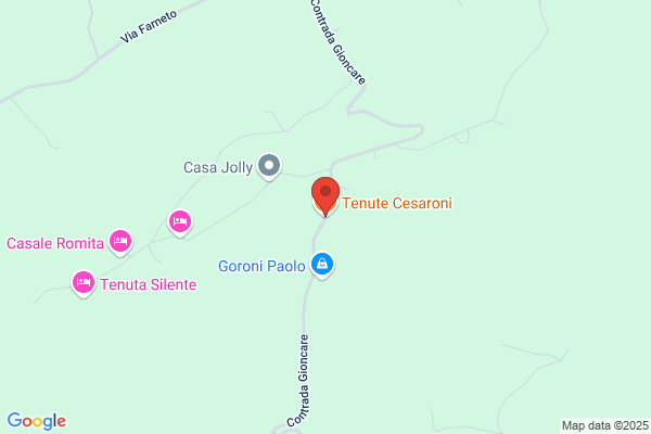 Cesaroni Fiorenza
