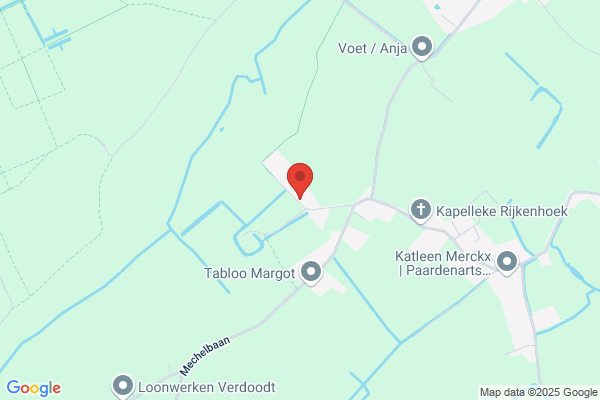 Accountancy Van Buggenhout Bvba