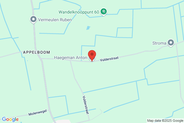 Haegeman A