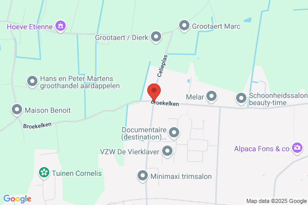 Bruggeman-Van Landegem/Kurt