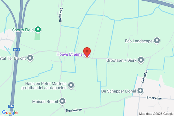 Hoeveke ('t)