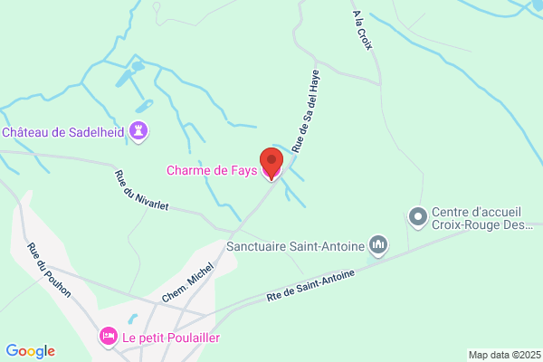 Charmes Du Passé (Aux)