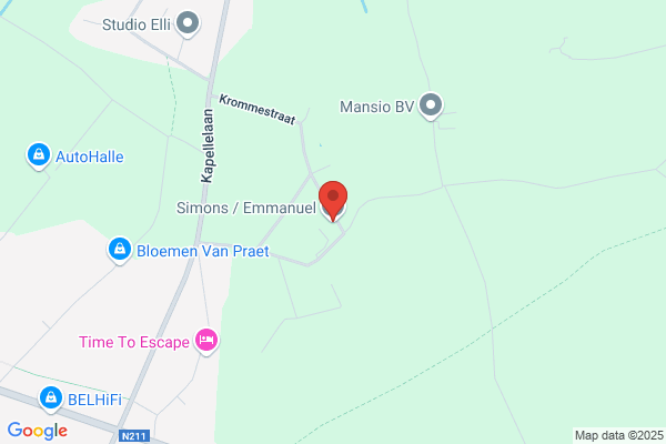 Simoens D