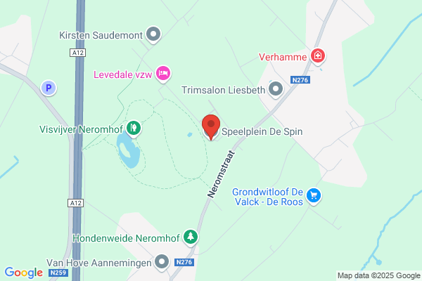 Vlaamse Dienst Speelpleinwerk