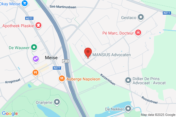 Gansemans M
