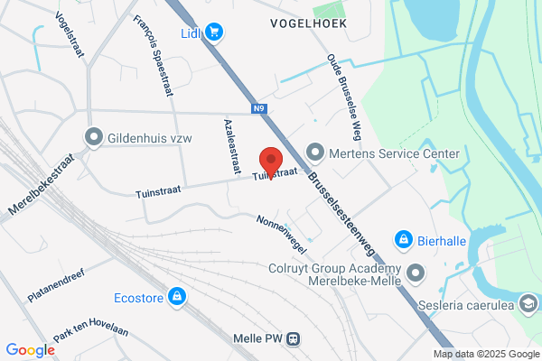 Van Assche/Leonee