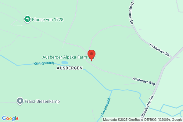 Alpason
