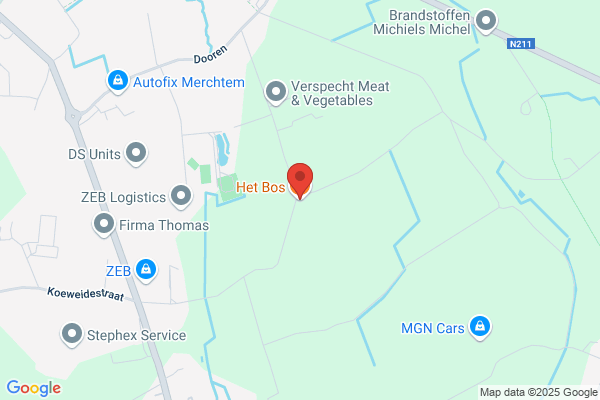 Bos (Het)