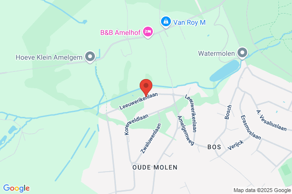 Van Rossum/Walter