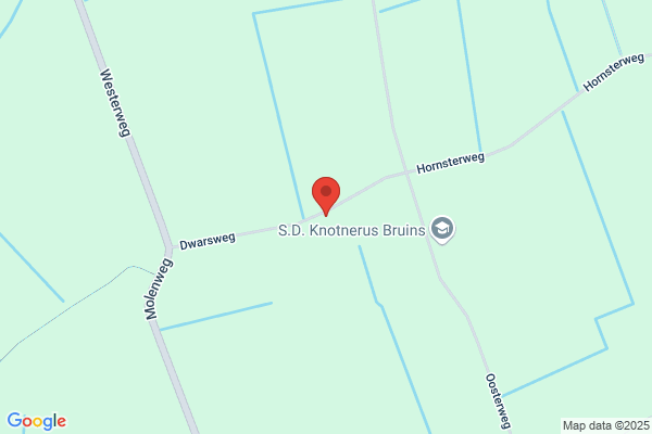 De Meulenaer/Thomas