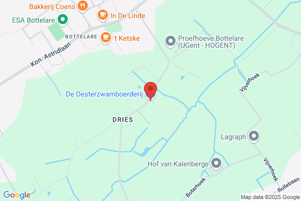 Van Assche/Leonee