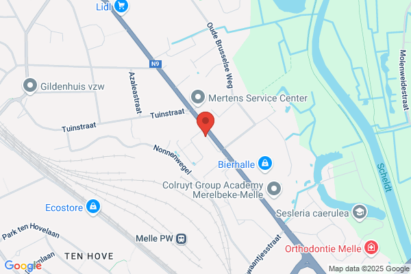 B.D.O.  Services