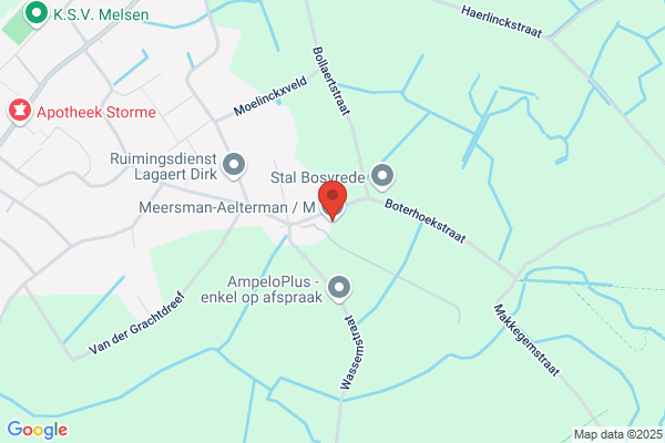 Haelterman L