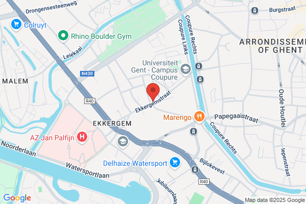 Korenbloem