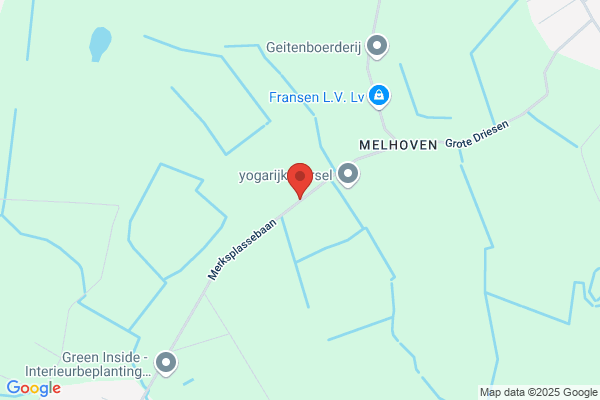 Van Dijck/W.