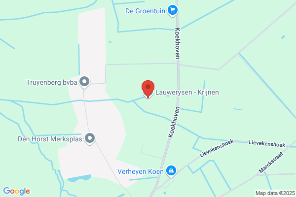 Lauwerijsen - Driesen