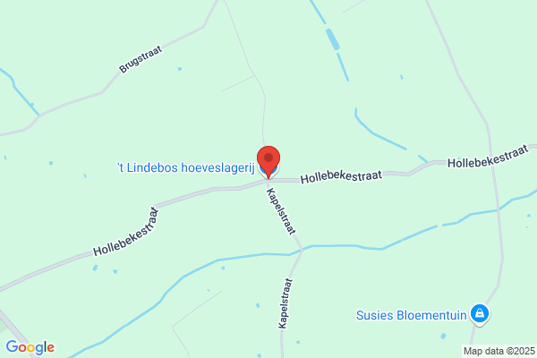 Lindebos ('t)